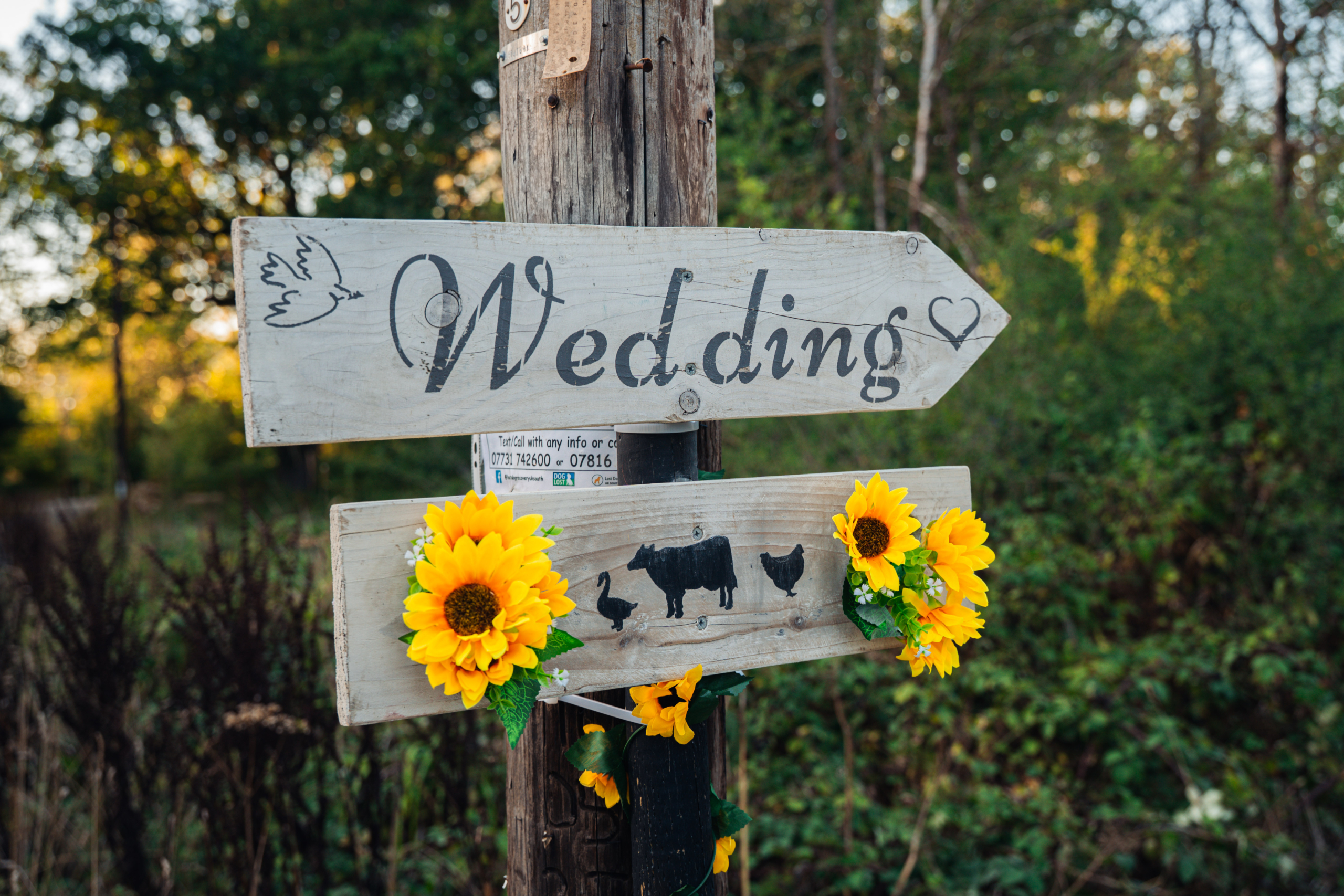 A rustic wooden wedding sign decorated with sunflowers