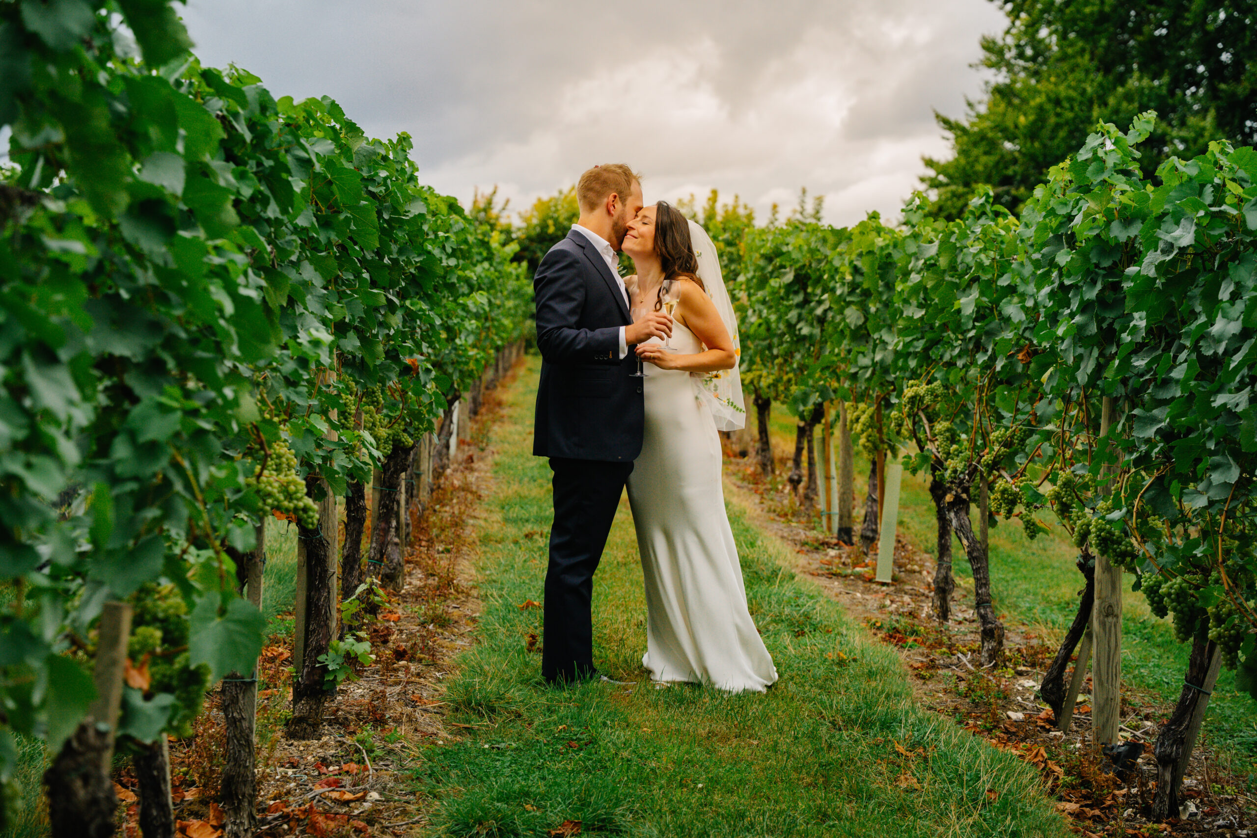 Bride and groom walking between rows of vines, photographed by a wedding photographer in Havant