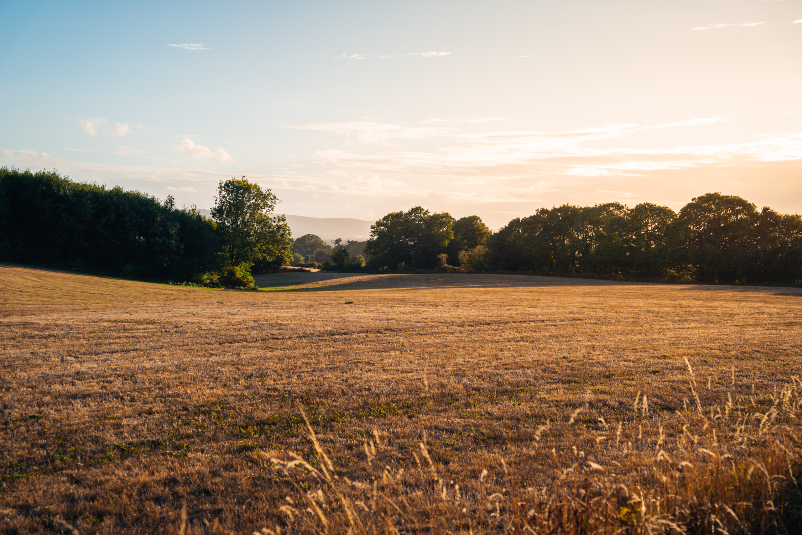 Sunset over open countryside on the edge of the New Forest
